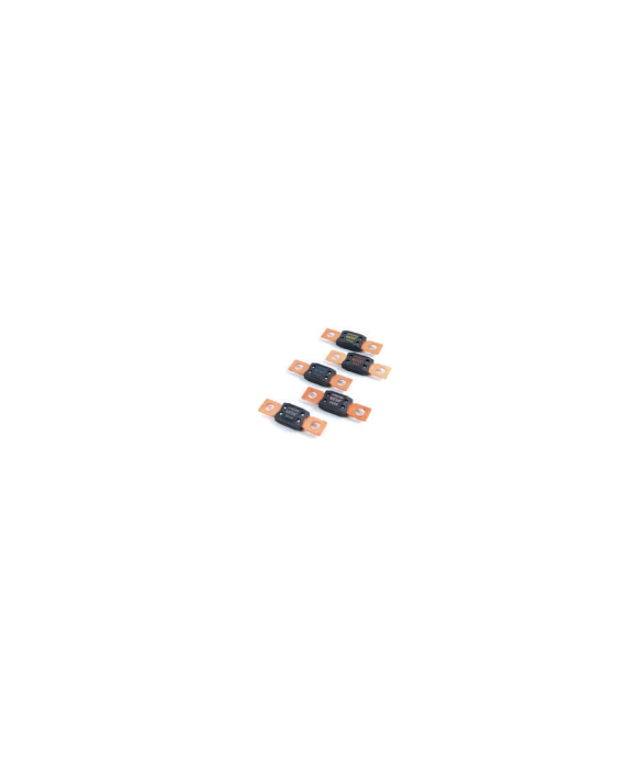Fusible Mega 250 A Energie Mobile [product_reference]